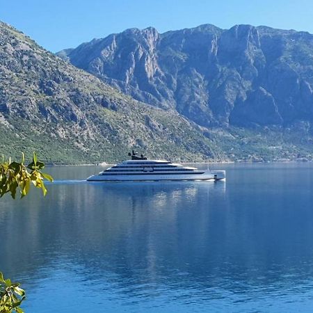 Ferienwohnung Magnolia Adriatic Kotor Exterior foto