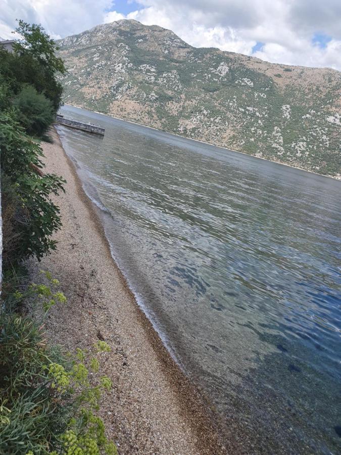 Ferienwohnung Magnolia Adriatic Kotor Exterior foto